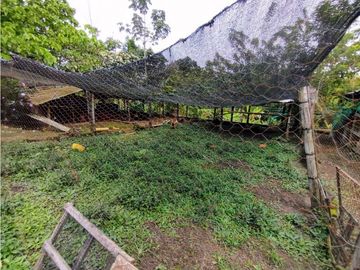 Se Vende Finca Pueblo Tapao Montenegro