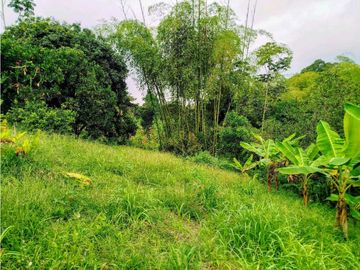Se Vende Finca Pueblo Tapao Montenegro
