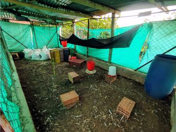 Se Vende Finca Pueblo Tapao Montenegro