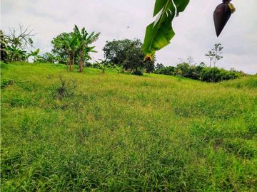Se Vende Finca Pueblo Tapao Montenegro
