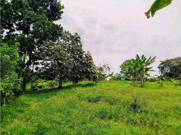 Se Vende Finca Pueblo Tapao Montenegro