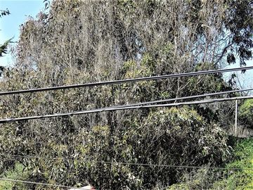 Terreno Construccion  en Venta en Playa Amarilla - Concón.
