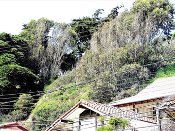 Terreno Construccion  en Venta en Playa Amarilla - Concón.