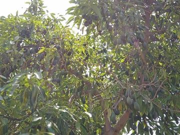 Parcela en Venta en Paradero 14