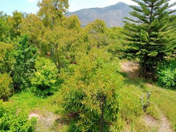 Parcela en Venta en Paradero 14