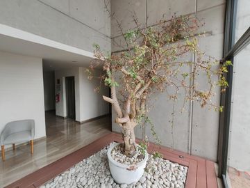 VENTA DE DEPARTAMENTO MUY AMPLIO EN TORRE   EL CERRO COL. LA PAZ, PUEBLA