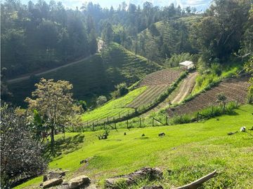 Vendo finca Marinilla sector Las Mercedes