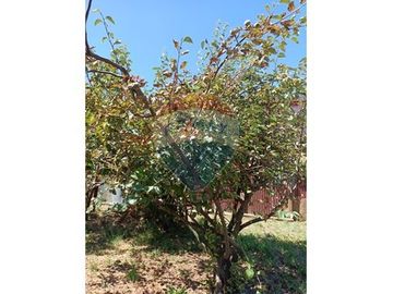 SE VENDE CASA ESQUINA, AMPLIO TERRENO EN MARIQUINA