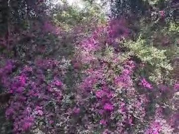 Casa en Venta Desierto de los Leones