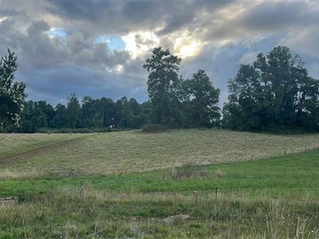 Agrícola en Venta en Playa San Pedro Lago Ranco