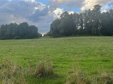 Agrícola en Venta en Playa San Pedro Lago Ranco