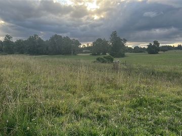 Agrícola en Venta en Playa San Pedro Lago Ranco