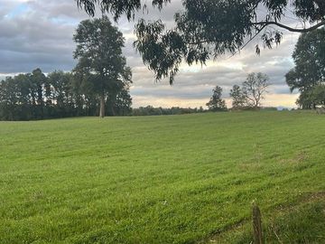 Agrícola en Venta en Playa San Pedro Lago Ranco