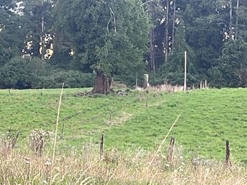 Agrícola en Venta en Playa San Pedro Lago Ranco
