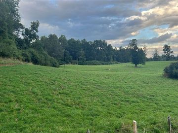 Agrícola en Venta en Playa San Pedro Lago Ranco