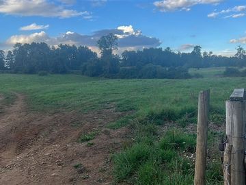 Agrícola en Venta en Playa San Pedro Lago Ranco