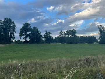 Agrícola en Venta en Playa San Pedro Lago Ranco