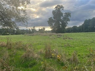 Agrícola en Venta en Playa San Pedro Lago Ranco