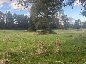 Agrícola en Venta en Playa San Pedro Lago Ranco