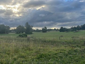 Agrícola en Venta en Playa San Pedro Lago Ranco