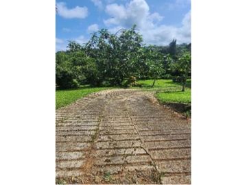 Finca Las Lajas