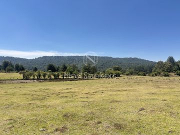 Rancho en Venta