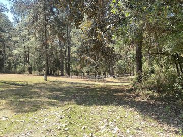 Rancho en Venta