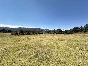 Rancho en Venta