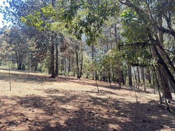 Rancho en Venta