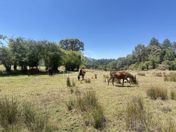 Rancho en Venta