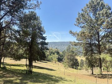 Rancho en Venta
