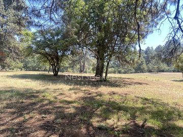 Rancho en Venta