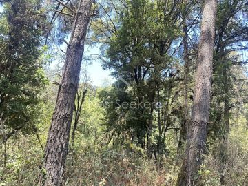 Rancho en Venta