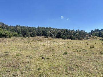 Rancho en Venta