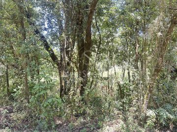 Rancho en Venta