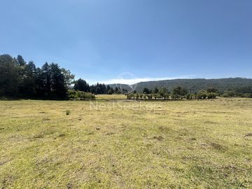 Rancho en Venta