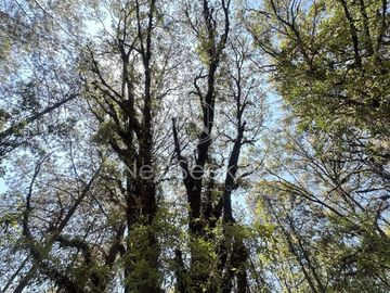 Rancho en Venta