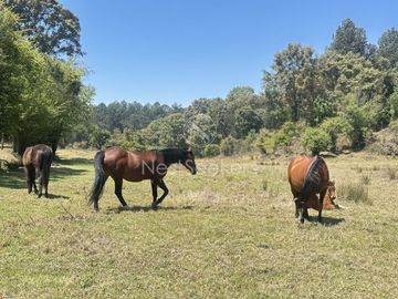 Rancho en Venta