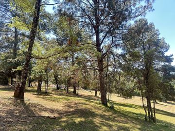 Rancho en Venta