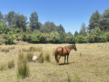 Rancho en Venta