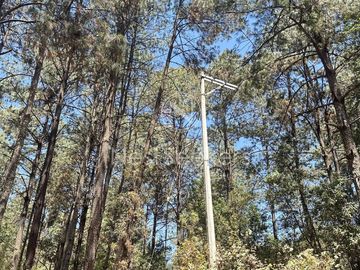 Rancho en Venta