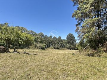 Rancho en Venta