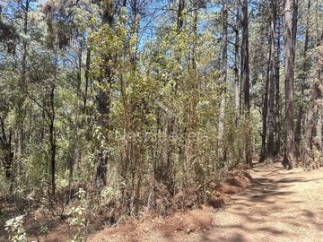 Rancho en Venta