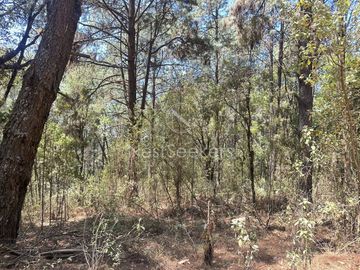 Rancho en Venta