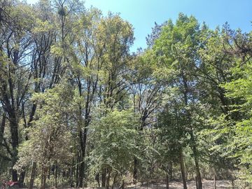 Rancho en Venta