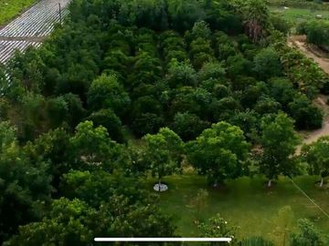 RANCHO EN VENTA EN MONTEMORELOS