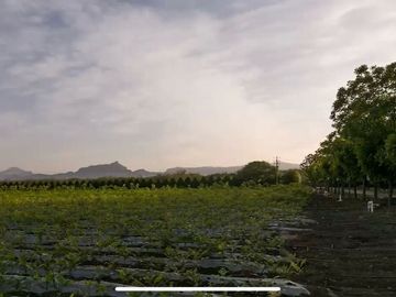 RANCHO EN VENTA EN MONTEMORELOS