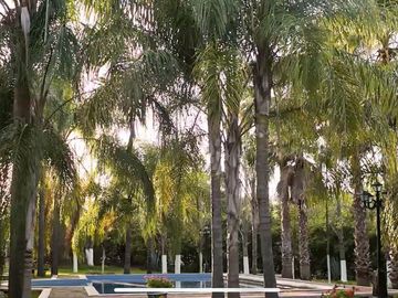 RANCHO EN VENTA EN MONTEMORELOS