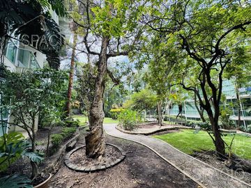 Departamento - Chapultepec