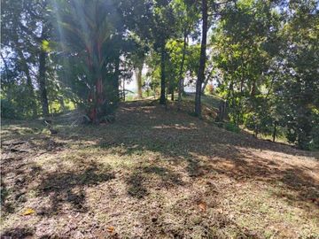 VENTA ISLA EXCLUSIVA EN BOCAS DEL TORO 10 HECTAREAS PROYECTO TURISTICO
